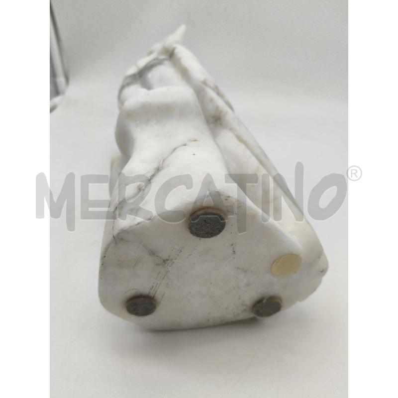 PAPPAGALLO ALABASTRO  | Mercatino dell'Usato Roma talenti 5