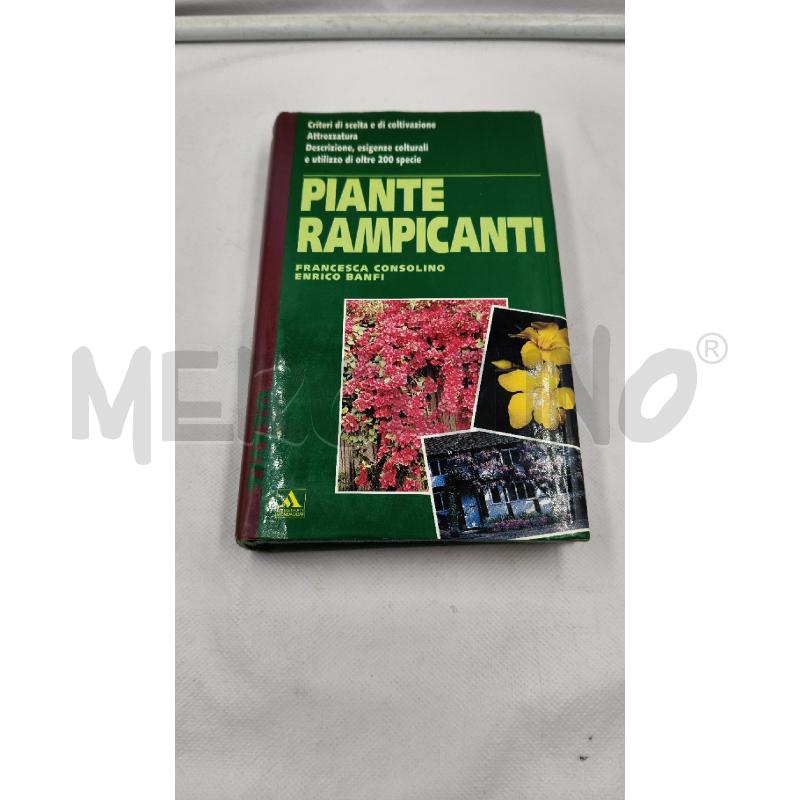 PIANTE RAMPICANTI | Mercatino dell'Usato Roma talenti 1