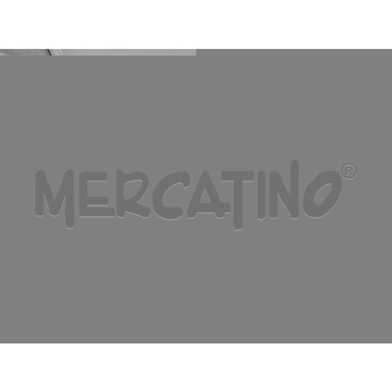 PLACCA QUADRIFOGLIO BIANCA | Mercatino dell'Usato Roma talenti 3