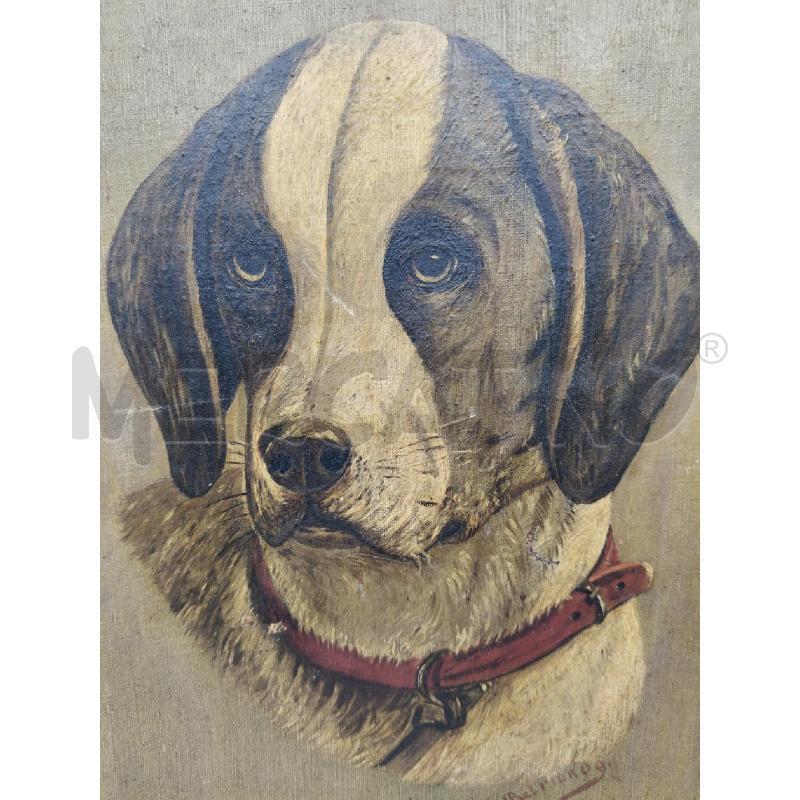 QUADRO CANE | Mercatino dell'Usato Roma talenti 2