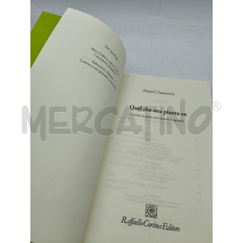 QUEL CHE UNA PIANTA SA | Mercatino dell'Usato Roma talenti 4