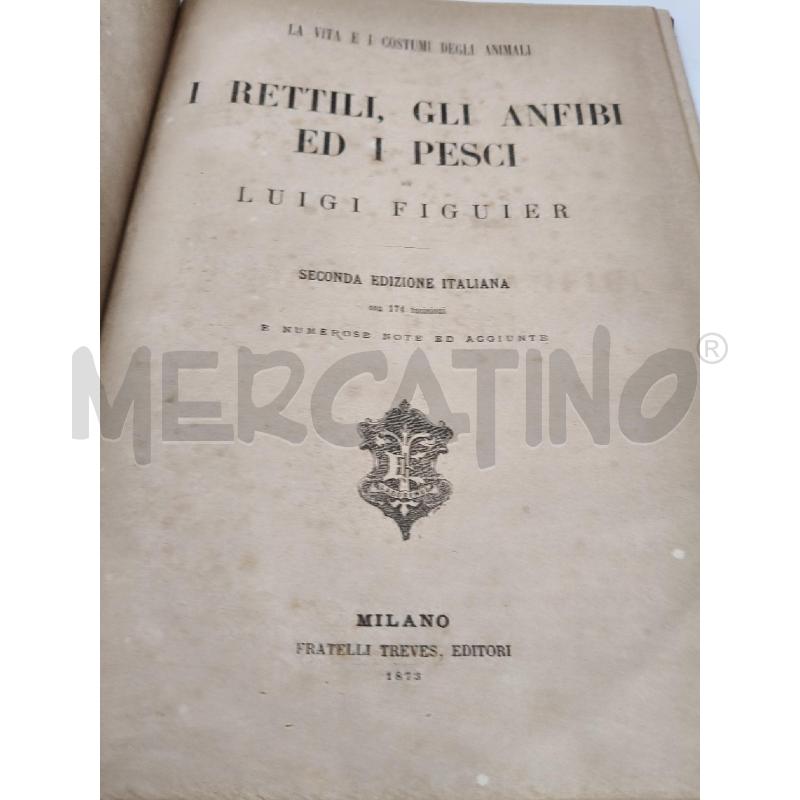 RETTILI ANFIBI E PESCI DI FIGUIER | Mercatino dell'Usato Roma talenti 4