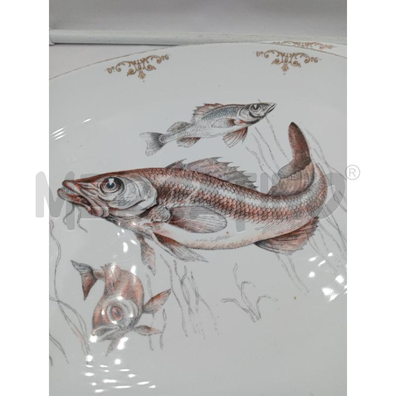 SET PIATTI PESCE BAVARIA | Mercatino dell'Usato Roma talenti 4