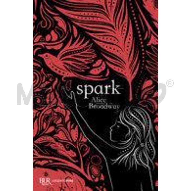 SPARK | Mercatino dell'Usato Roma talenti 1