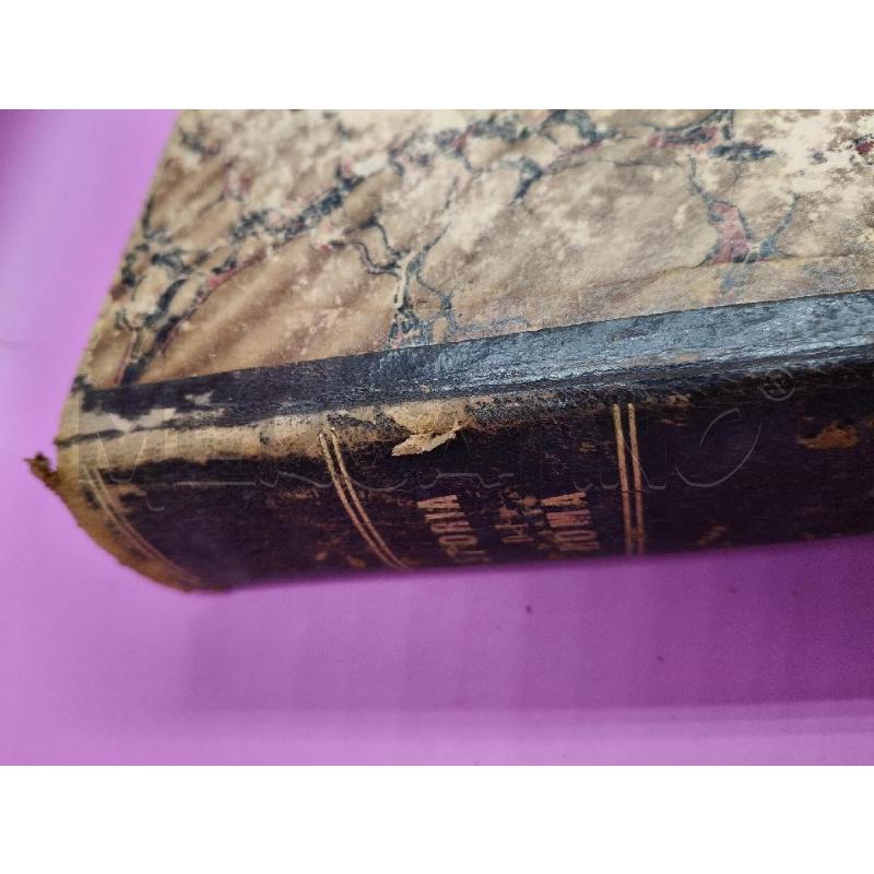 STORIA DI ROMA LIDDELL 1875 | Mercatino dell'Usato Roma talenti 3