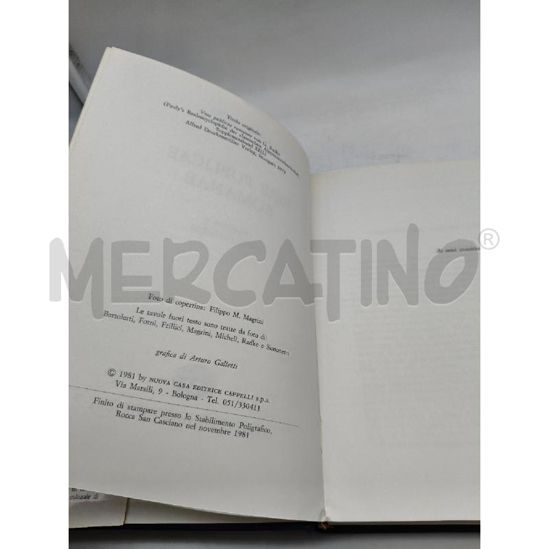VIAE PUBLICAE ROMANAE | Mercatino dell'Usato Roma talenti 4