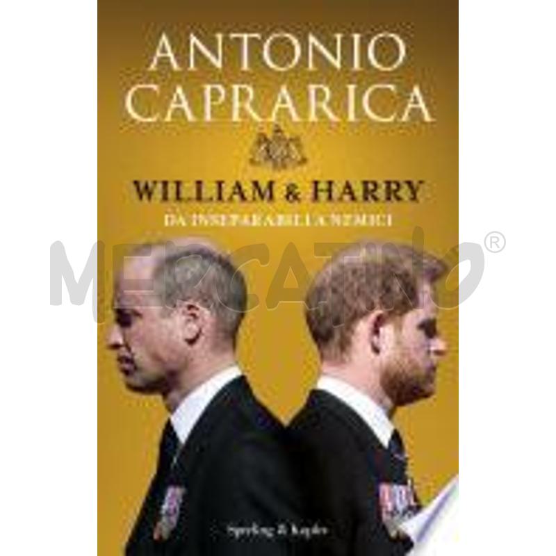 WILLIAM & HARRY | Mercatino dell'Usato Roma talenti 1