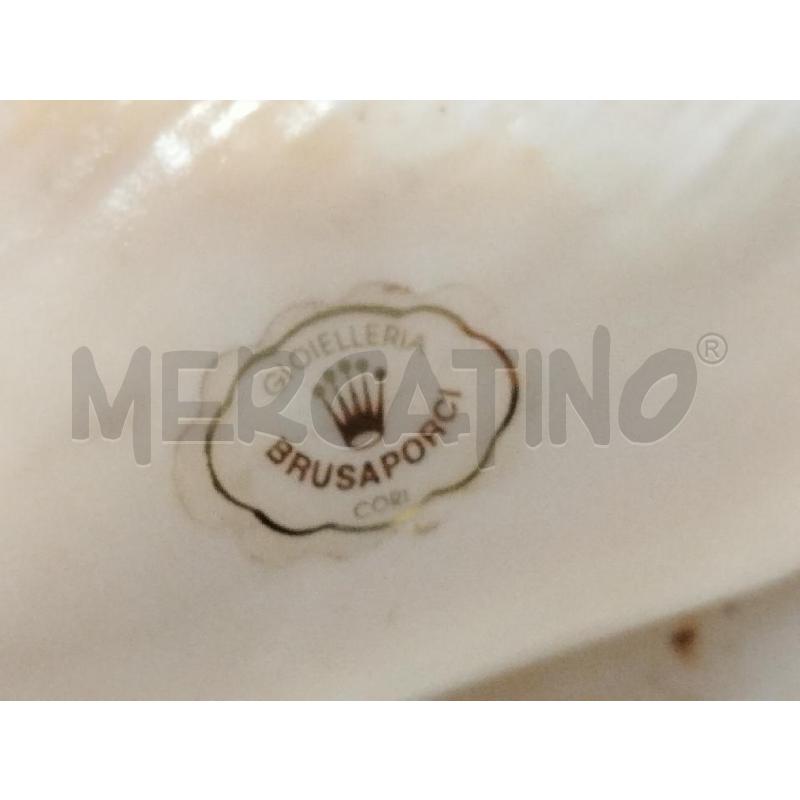 CONCHIGLIA GRANDE BIANCA LAMINATA | Mercatino dell'Usato Roma zona marconi 5