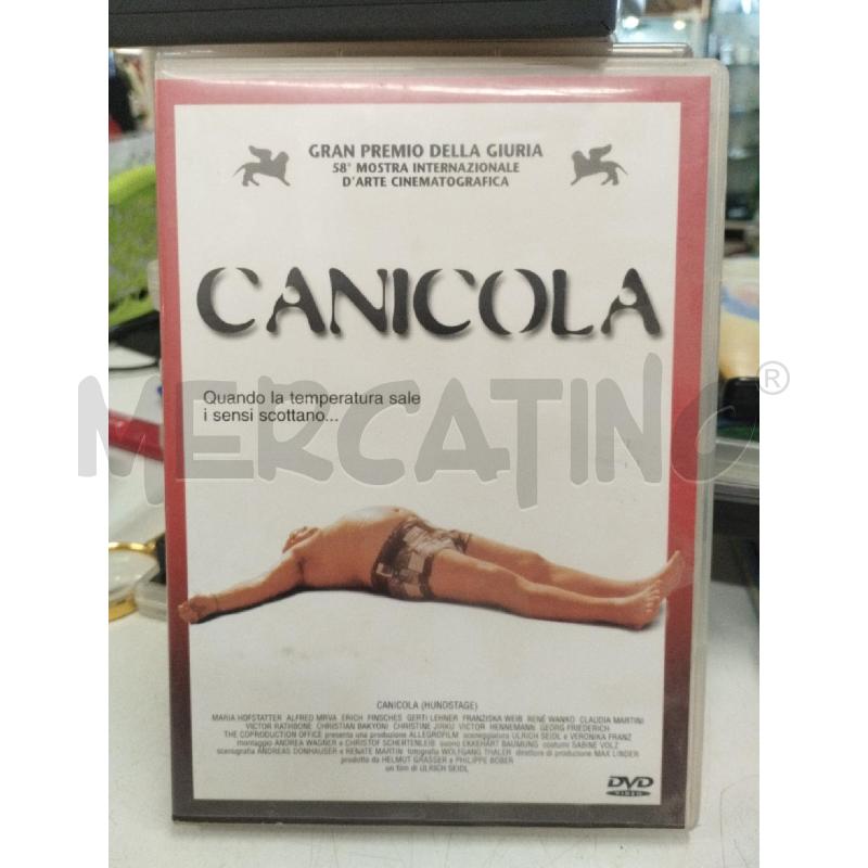 DVD CANICOLA | Mercatino dell'Usato Roma zona marconi 1