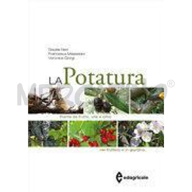 LA POTATURA | Mercatino dell'Usato Roma zona marconi 1