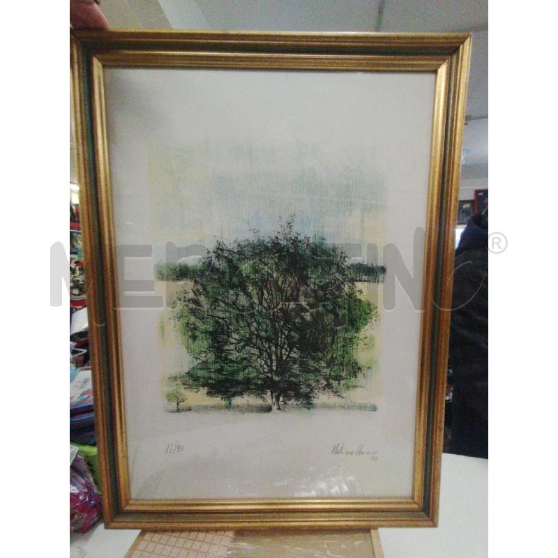 LITOGRAFIA ALBERO FIRMATA | Mercatino dell'Usato Roma zona marconi 1