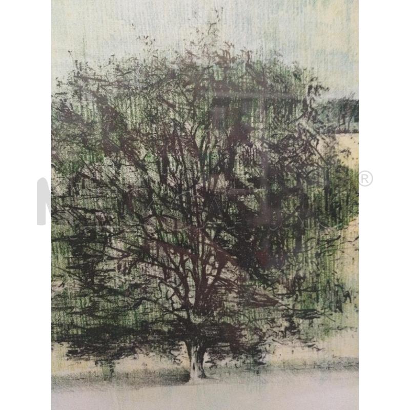 LITOGRAFIA ALBERO FIRMATA | Mercatino dell'Usato Roma zona marconi 3