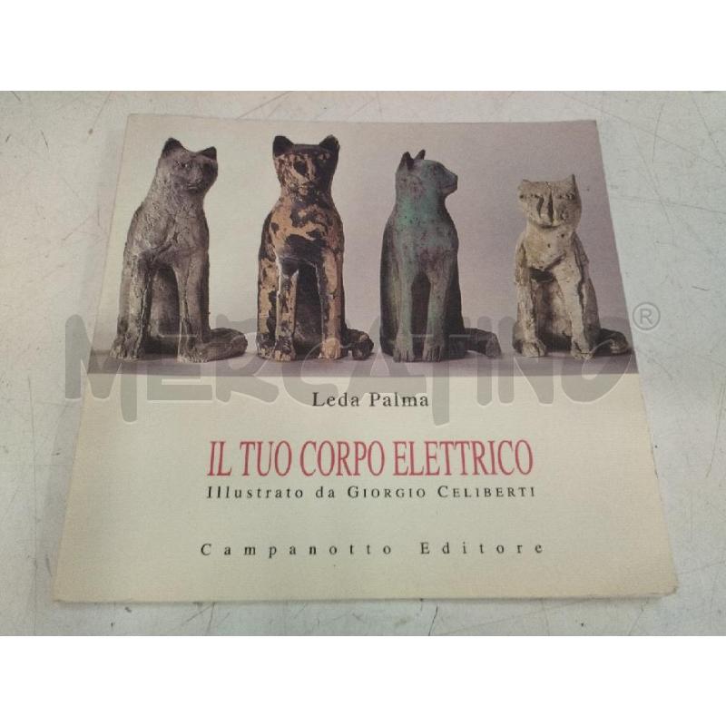 PALMA IL TUO CORPO ELETTRICO | Mercatino dell'Usato Roma zona marconi 1