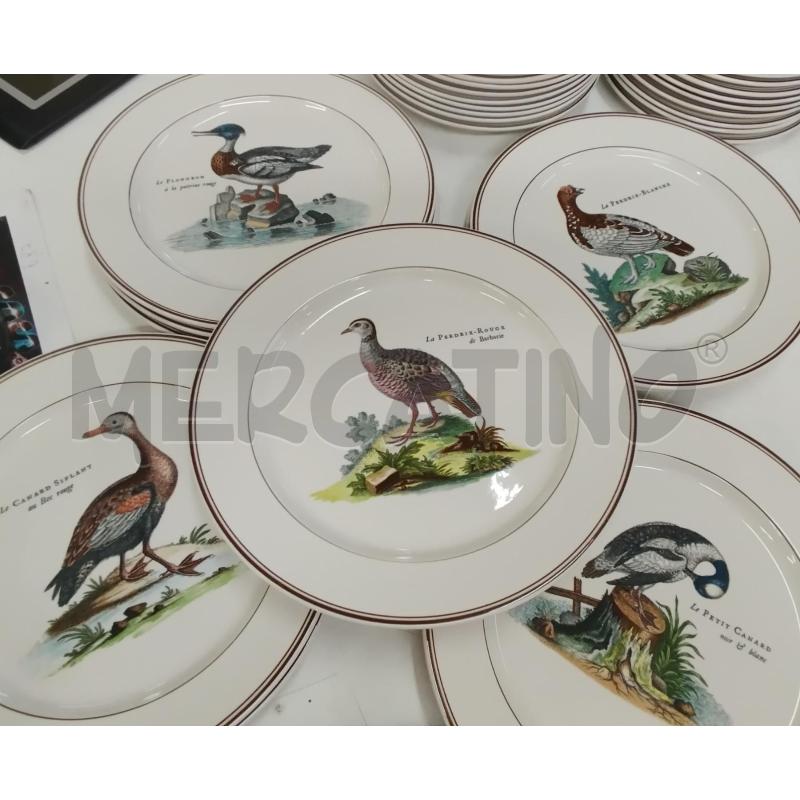PIATTI PZ. 36 VILLEROY BOCH PARADISO UCCELLI | Mercatino dell'Usato Roma zona marconi 3