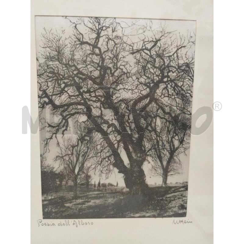 QUADRETTO VECCHIA STAMPA SU STOFFA POESIA DELL'ALBERO | Mercatino dell'Usato Roma zona marconi 2