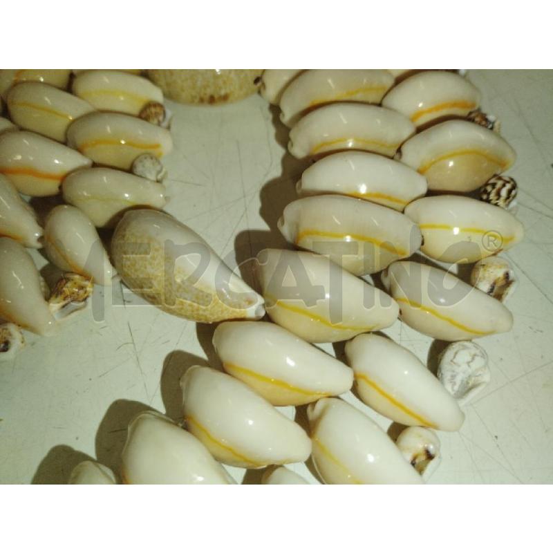 SOTTO PENTOLA CONCHIGLIE | Mercatino dell'Usato Roma zona marconi 3