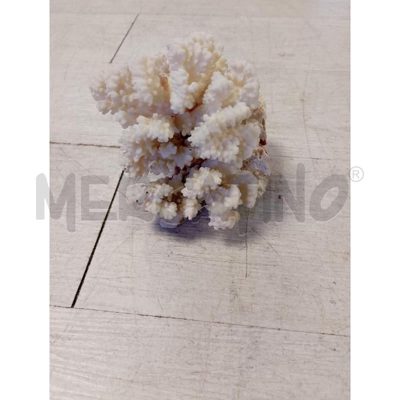 CORALLO  | Mercatino dell'Usato Ciampino 3