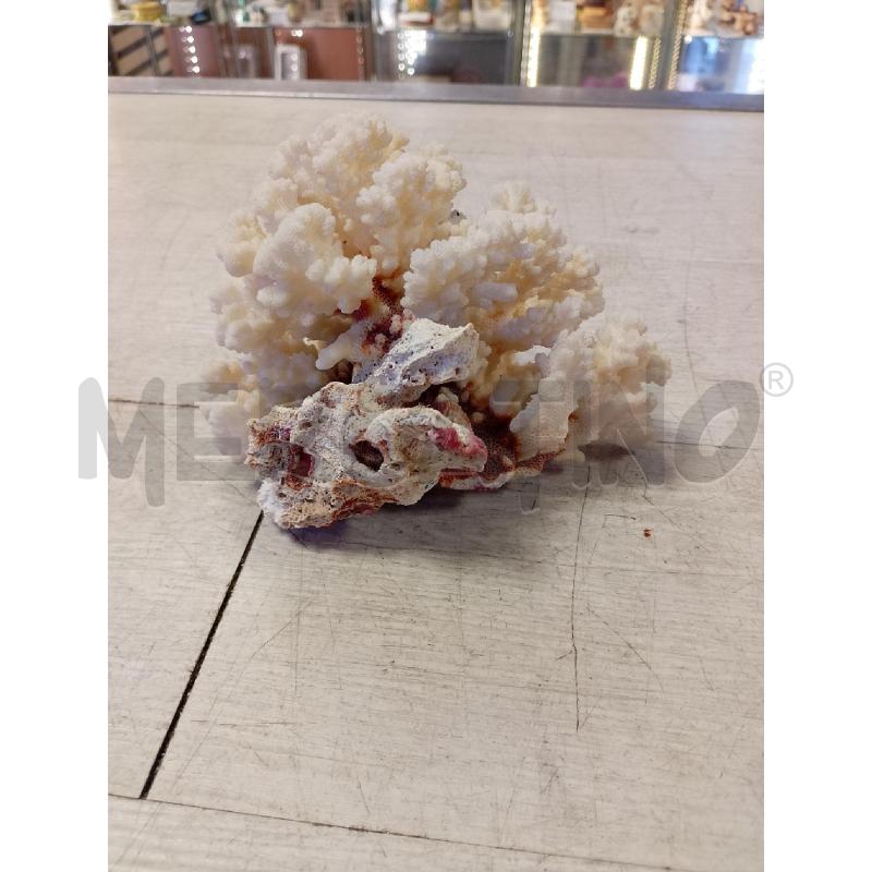 CORALLO  | Mercatino dell'Usato Ciampino 4