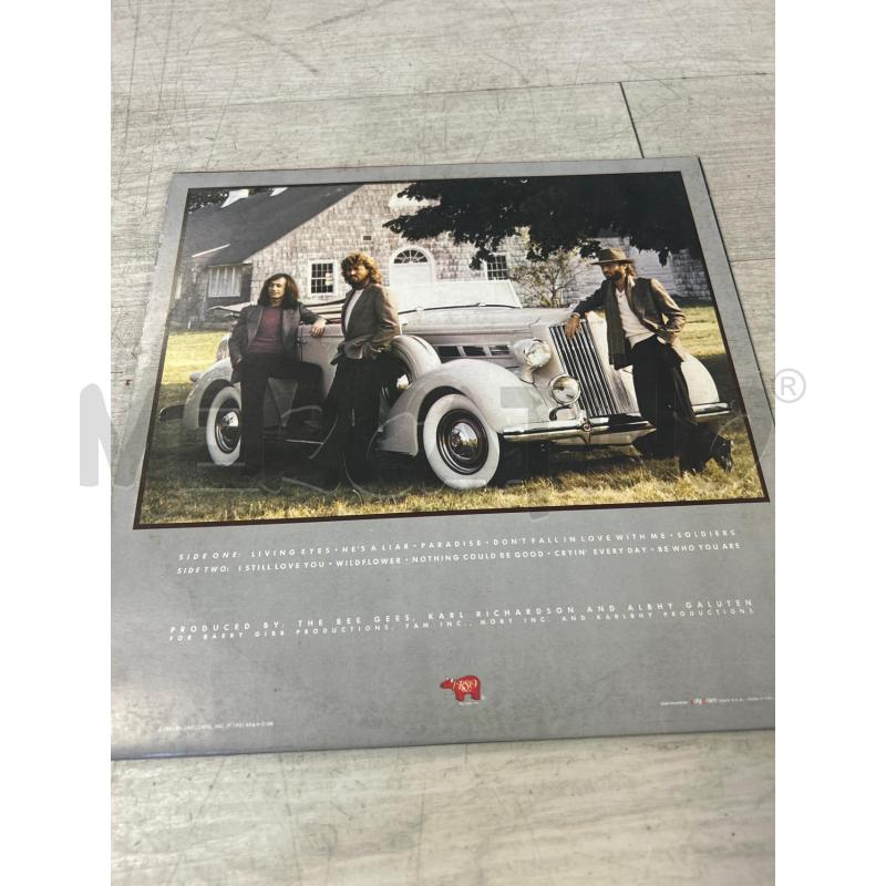 LP33 BEE GEES LIVING EYES | Mercatino dell'Usato Ciampino 3