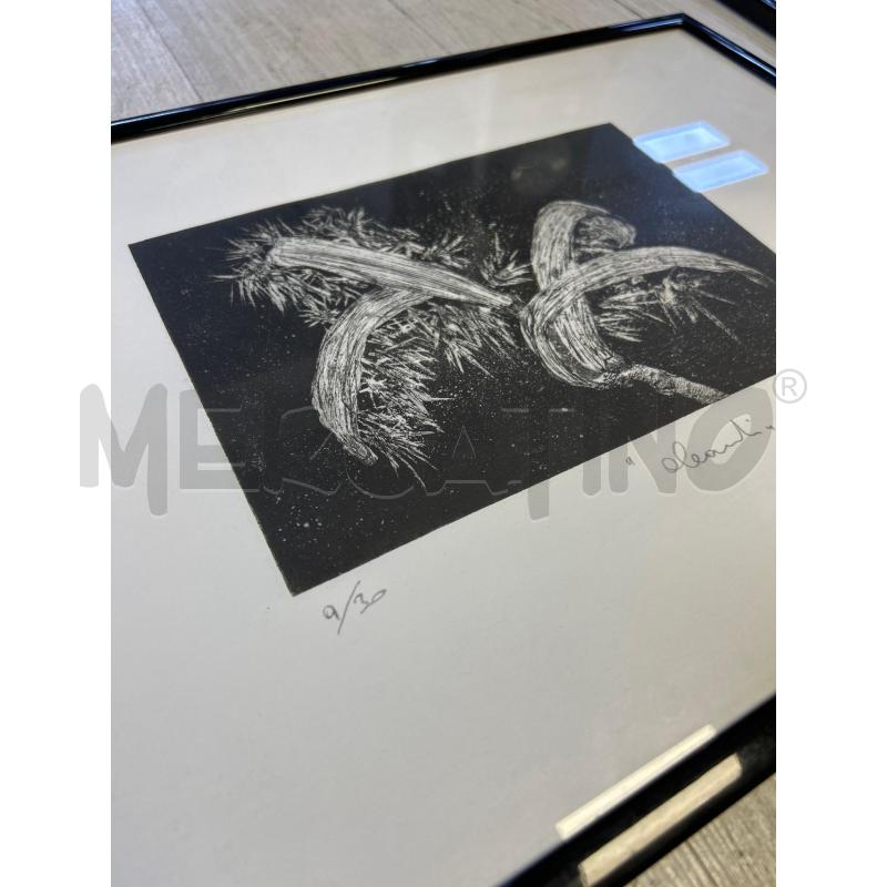 QUADRO FIRMATO 9/30 CON DEDICA | Mercatino dell'Usato Ciampino 3