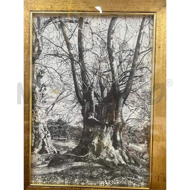 QUADRO PAESAGGIO ALBERI | Mercatino dell'Usato Ciampino 2