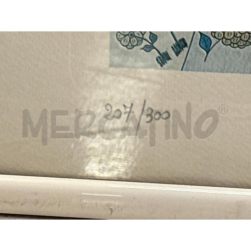 STAMPA NUMERATA NAIF A.VISANI | Mercatino dell'Usato Ciampino 3