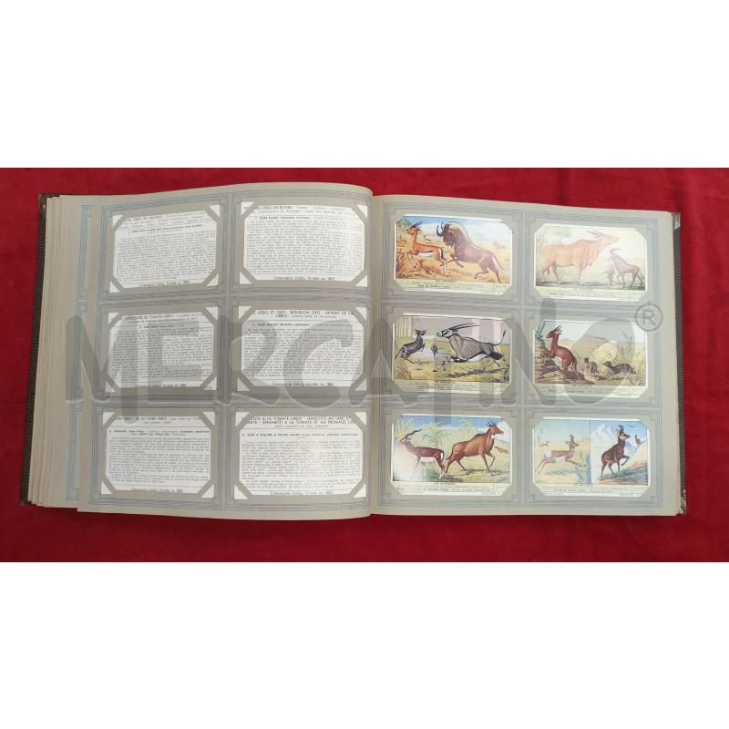ALBUM CHRONO LIEBIG CARTE ANNI 50  | Mercatino dell'Usato Roma porta maggiore 5