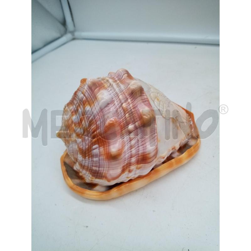 CONCHIGLIA CAMMEO PROFILO DONNA | Mercatino dell'Usato Roma porta maggiore 2