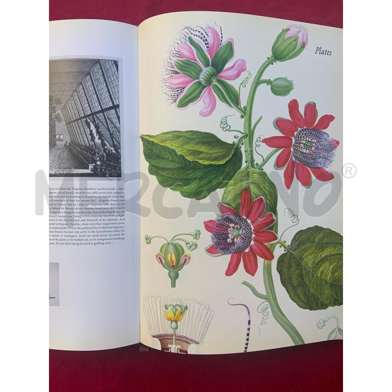 FLORILEGIUM IMPERIALE PRESTEL | Mercatino dell'Usato Roma porta maggiore 3