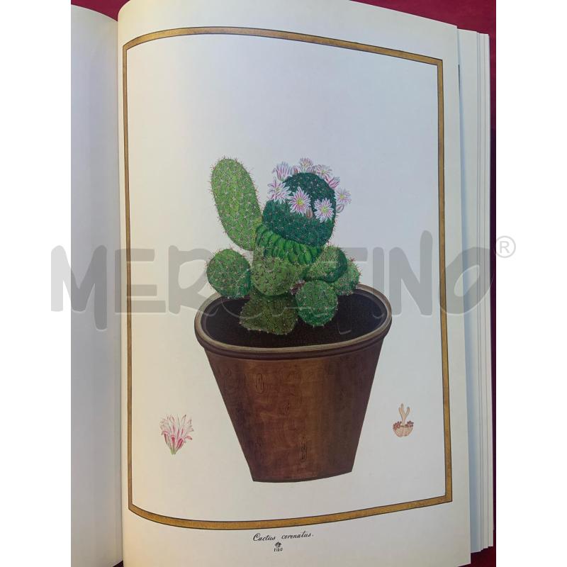FLORILEGIUM IMPERIALE PRESTEL | Mercatino dell'Usato Roma porta maggiore 4