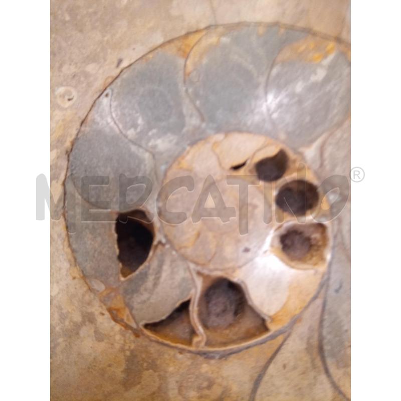 FRAMMENTO AMMONITE FOSSILE  | Mercatino dell'Usato Roma porta maggiore 2