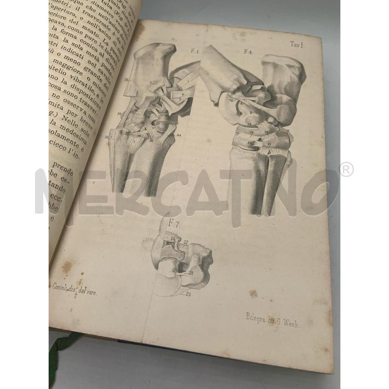 GAZZETTA MEDICO VETERINARIA 1875-1876 | Mercatino dell'Usato Roma porta maggiore 3
