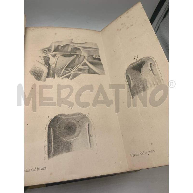 GAZZETTA MEDICO VETERINARIA 1875-1876 | Mercatino dell'Usato Roma porta maggiore 4