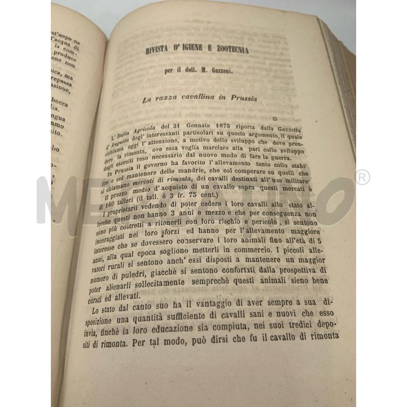 GAZZETTA MEDICO VETERINARIA 1875-1876 | Mercatino dell'Usato Roma porta maggiore 5