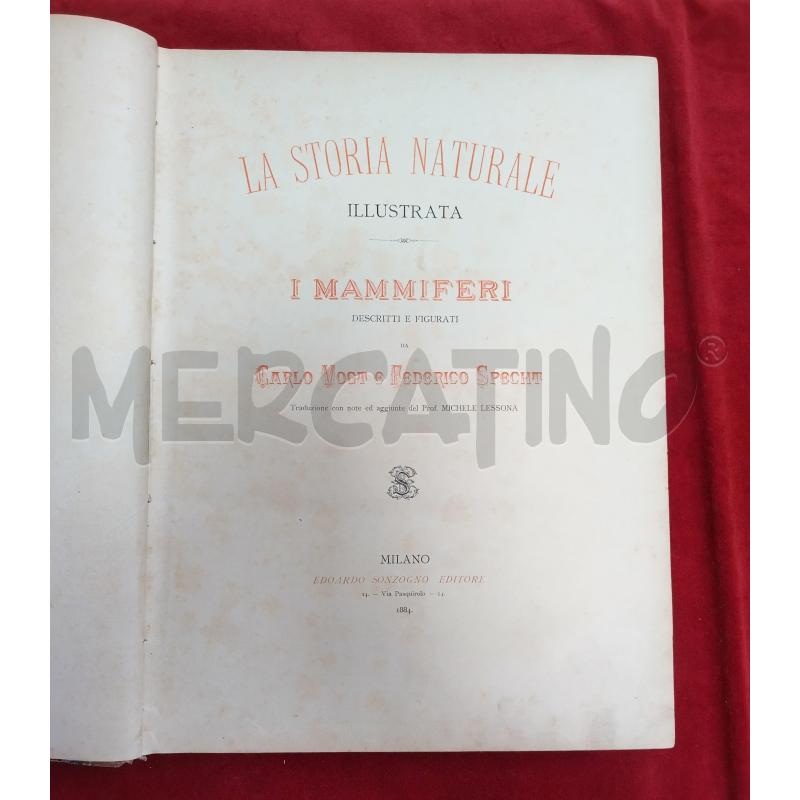 LA STORIA NATURALE ILLUSTRATA I MAMMIFERI 1884 | Mercatino dell'Usato Roma porta maggiore 2