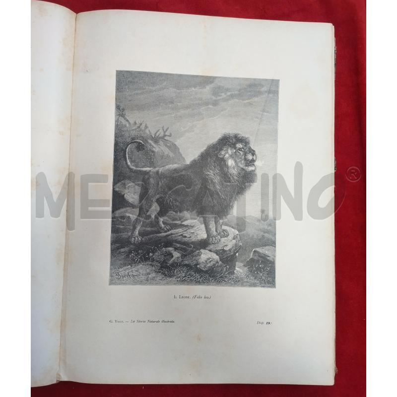 LA STORIA NATURALE ILLUSTRATA I MAMMIFERI 1884 | Mercatino dell'Usato Roma porta maggiore 3