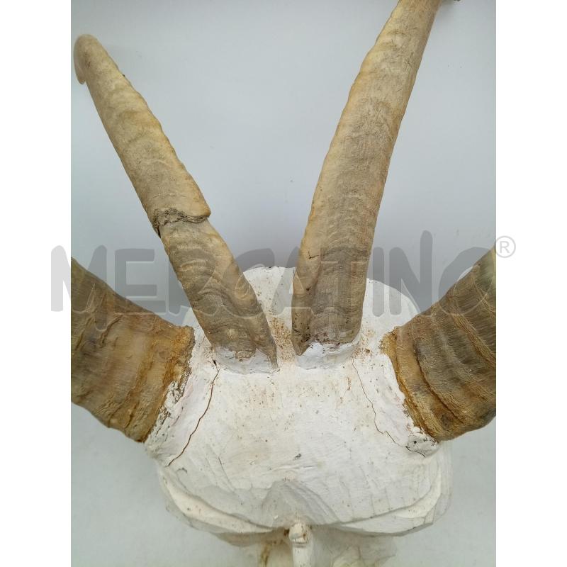 MASCHERA LEGNO DIAVOLO CORNA VERE | Mercatino dell'Usato Roma porta maggiore 3