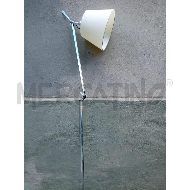 PIANTANA ARTEMIDE TOLOMEO DA TAVOLO   | Mercatino dell'Usato Roma porta maggiore 1