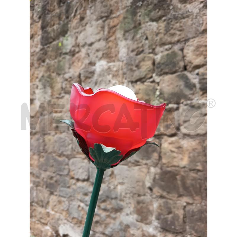 PIANTANA METALLO 3L PARALUME ROSE ROSSE  | Mercatino dell'Usato Roma porta maggiore 2