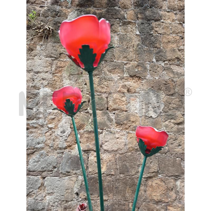 PIANTANA METALLO 3L PARALUME ROSE ROSSE  | Mercatino dell'Usato Roma porta maggiore 4