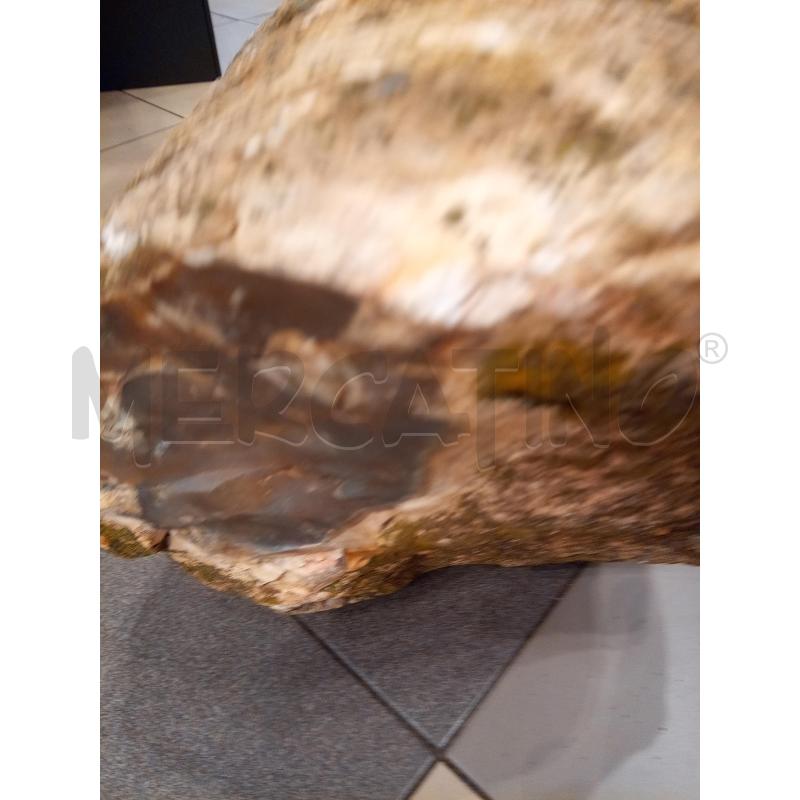 PORZIONE LEGNO FOSSILE 35KG 36X22X22 | Mercatino dell'Usato Roma porta maggiore 5