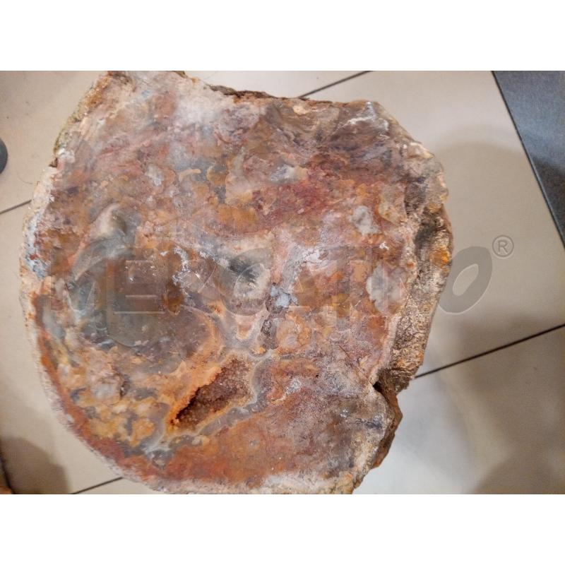 PORZIONE LEGNO FOSSILE MADAGASCAR 19KG 20X28X25 | Mercatino dell'Usato Roma porta maggiore 1