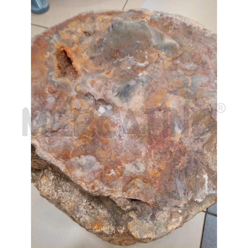 PORZIONE LEGNO FOSSILE MADAGASCAR 19KG 20X28X25 | Mercatino dell'Usato Roma porta maggiore 2