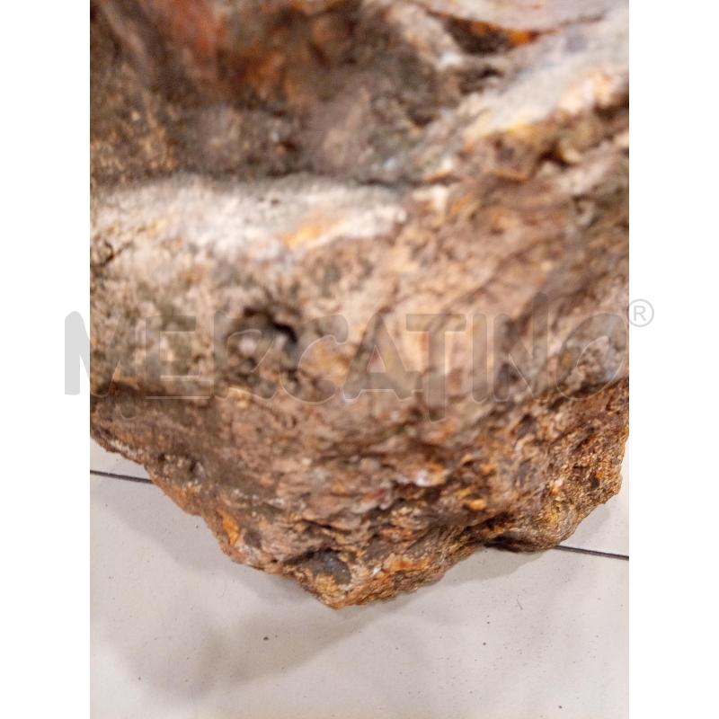 PORZIONE LEGNO FOSSILE MADAGASCAR 19KG 20X28X25 | Mercatino dell'Usato Roma porta maggiore 3