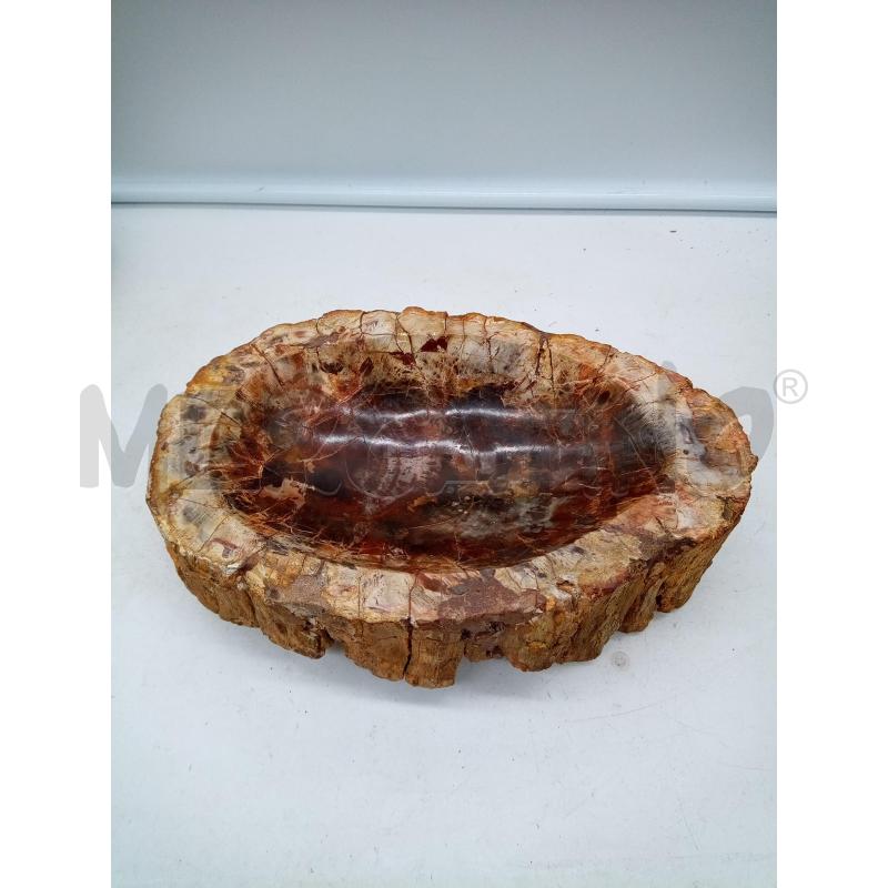 POSA CENERE OVALE TRONCO FOSSILE | Mercatino dell'Usato Roma porta maggiore 1