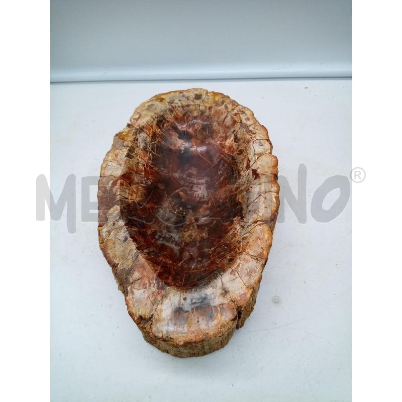 POSA CENERE OVALE TRONCO FOSSILE | Mercatino dell'Usato Roma porta maggiore 2
