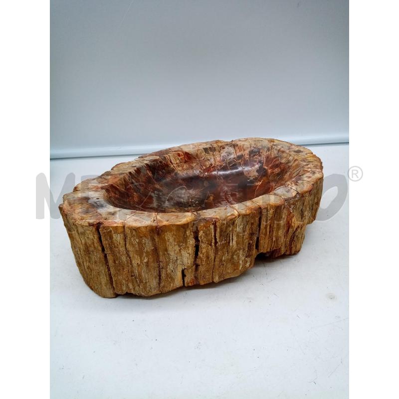POSA CENERE OVALE TRONCO FOSSILE | Mercatino dell'Usato Roma porta maggiore 3