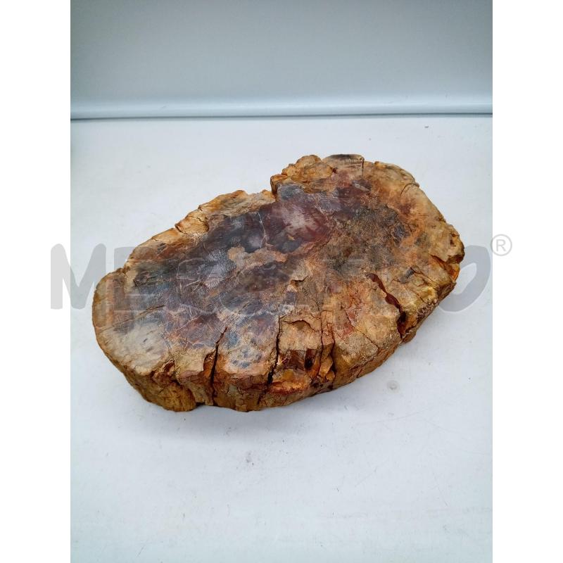 POSA CENERE OVALE TRONCO FOSSILE | Mercatino dell'Usato Roma porta maggiore 4