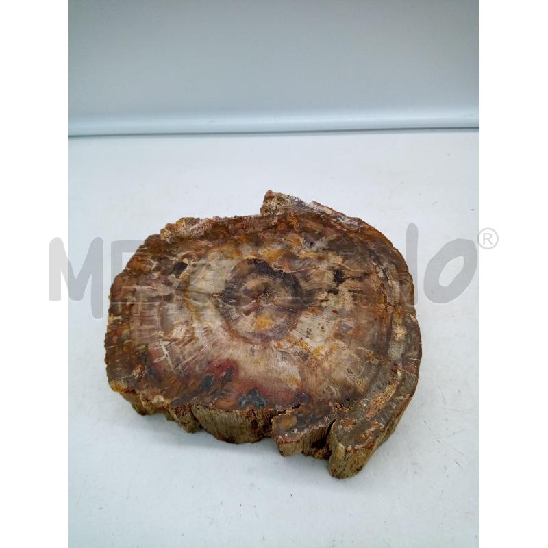 POSA CENERE TONDO TRONCO FOSSILE | Mercatino dell'Usato Roma porta maggiore 3