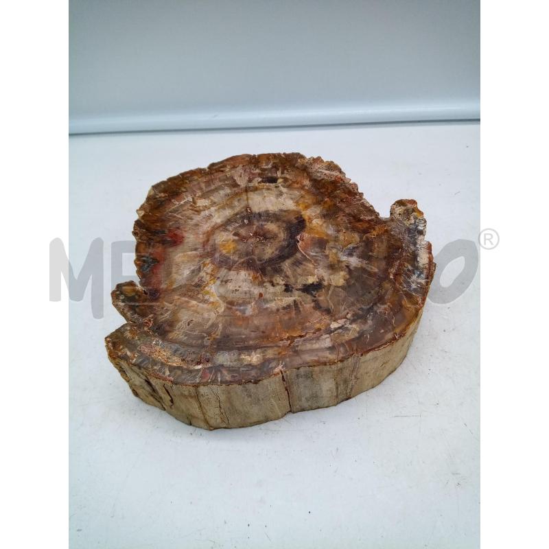 POSA CENERE TONDO TRONCO FOSSILE | Mercatino dell'Usato Roma porta maggiore 4